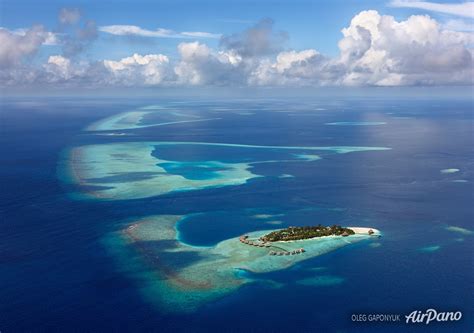 Maldives Above And Below The Sea
