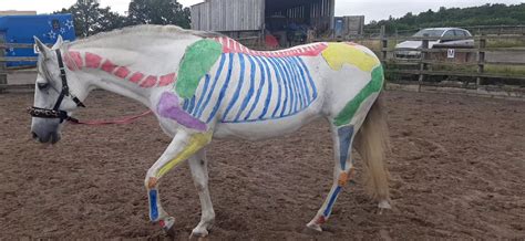 Oldmoor Farm Riding School