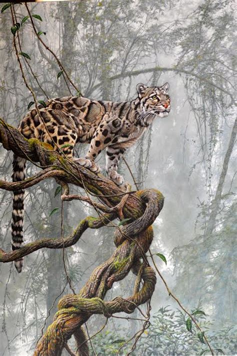 Clouded Leopard Original Watercolor Painting Art Collectibles