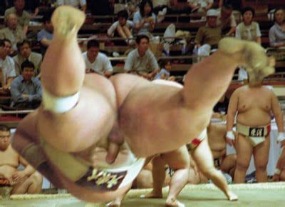Sumo Wrestler Gay Porn Telegraph
