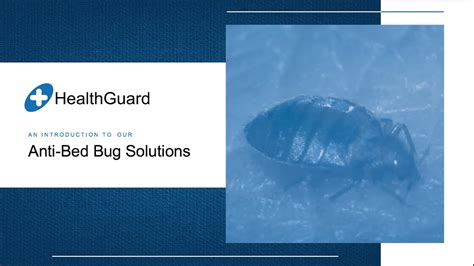 Healthguard Anti Bed Bug Solution Youtube