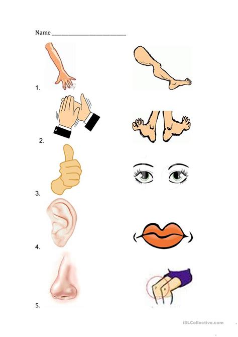 Here is a list of some other parts of the body that have not been included above. Body Parts Review worksheet - Free ESL printable ...
