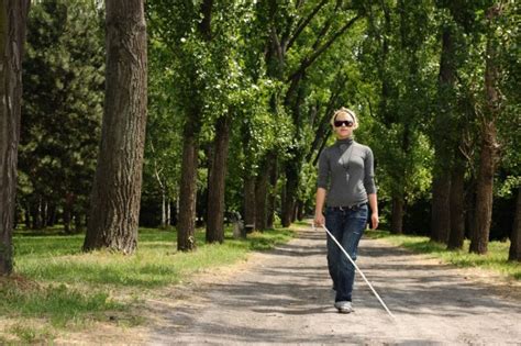 All About The White Cane Wisconsin Council Of The Blind And Visually