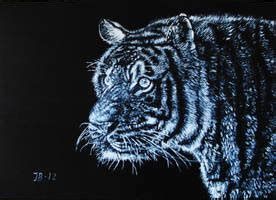 Roaring Tiger Graphite Drawing By Jasminasusak On Deviantart