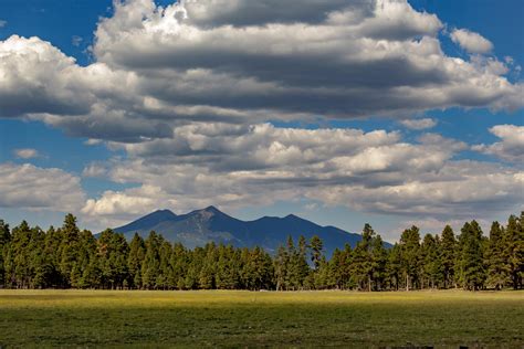A Forest View Of The Highest Point In Arizona Humphreys Peak