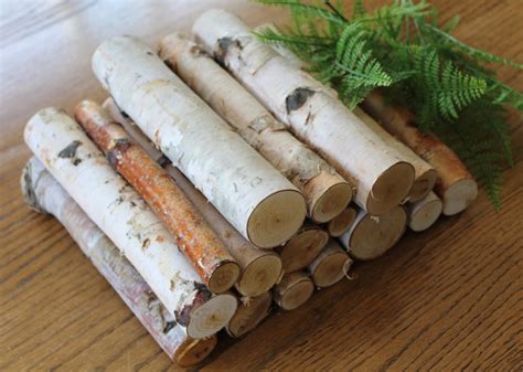 10 Birch Logs Decorative Birch Logs Box Full Of