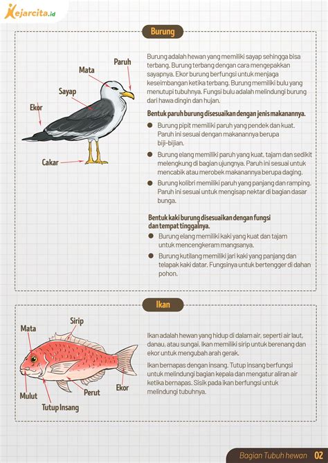 Soal Ipa Kelas Bagian Tubuh Hewan Dan Fungsinya Unduh File Guru Riset