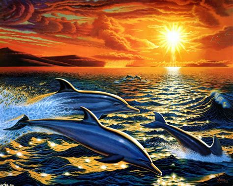 Painting Kits Diy Painting Painting Canvas Dolphin