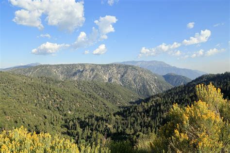 San Bernardino National Forest Photo Stock Image Du National