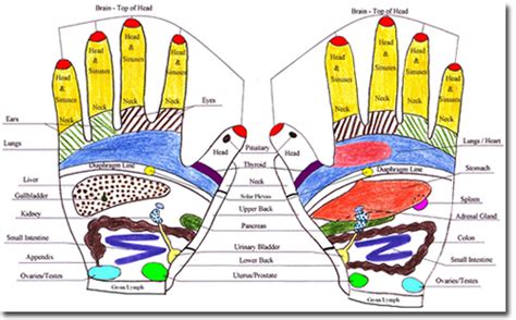 Hand Reflexology Chart Essential Oils For Headaches Hand Reflexology Reflexology Hand Chart