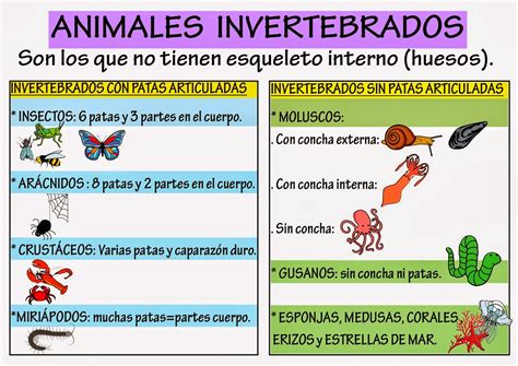 Porco é Vertebrado Ou Invertebrado