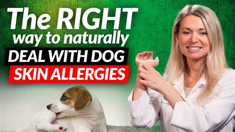 Heres The Correct Way Of Naturally Treating Dog Skin Allergies At Hom