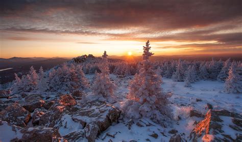 Russia Nature Trees Winter Sunlight Cold Snow Sunset 1920x1127
