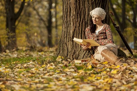Woman Reading A Book Under The Tree In Autumn Stock Photo 01 Free Download