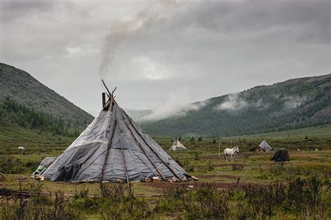 experience the tsaatan reindeer herders in mongolia