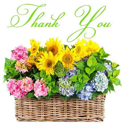 Colorful Flowers Thank You Card Concept Stock Photo Colourbox