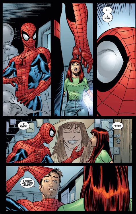Peter Parker And Mary Jane The Amazing Spider Man Vol 2 29