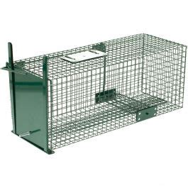 You'll receive email and feed alerts when new items arrive. Trap Feral Cat & Possum