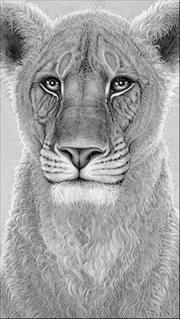 Elsa The Lioness Painting Art By Gary Hodges