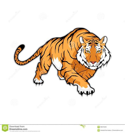 Bengal Tiger Stock Illustrations 2787 Bengal Tiger Stock