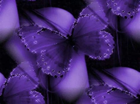 Purple Love All Things Purple Shades Of Purple Deep Purple Purple