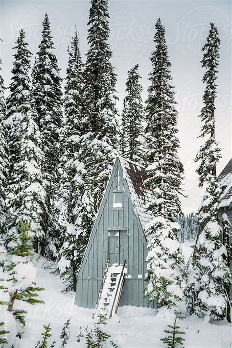 Snow Covered Cabin With Steep Roof Surrounded By Pine Forest In Winter