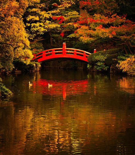 Japanese Garden Red Bridge Photograph By Roberto Adrian