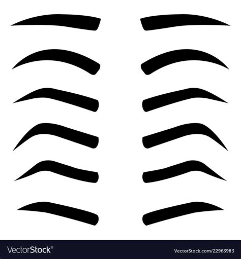 Set Of Various Types Eyebrows Isolated Royalty Free Vector