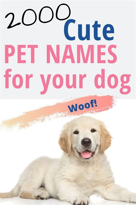 2000 Popular Cute and Unique Names for your pets #dog ...