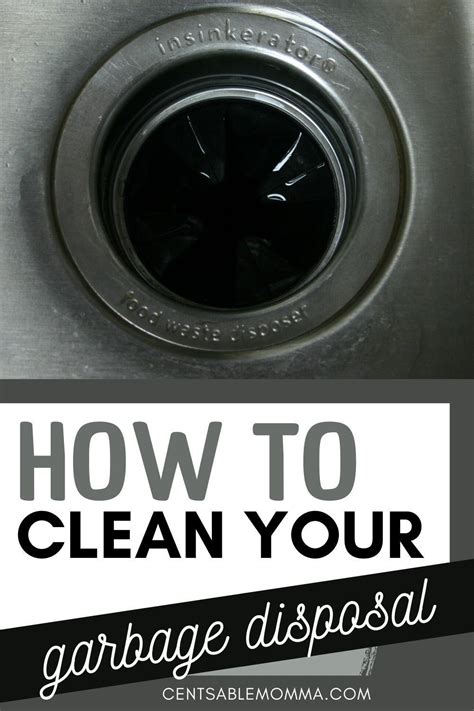 We need a new garbage disposal i say to my husband. How to Clean your Garbage Disposal in 2020 | Garbage ...