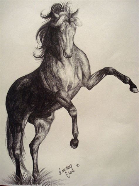 Pencil Rearing Horse By Peabluejr On Deviantart Horse Sketch