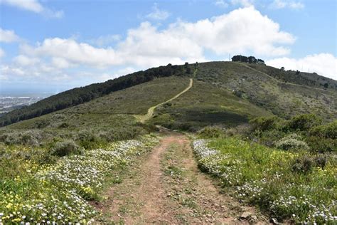 Fun Easy Hikes In Tygerberg Nature Reserve Cape Town