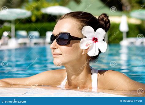 Gorgeous Brunette In Pool Stock Image Image Of Bikini 11355263