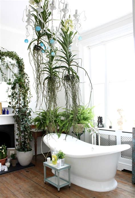 34 Lovely House Plants In The Bathroom