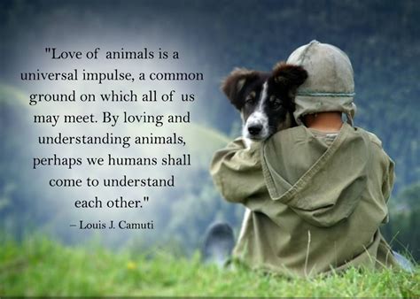 Love Of Animals Animal Quotes Animals Animal Activism