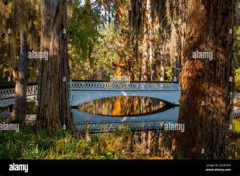 Magnolia Plantation And Gardens Bridge Hi Res Stock Photography And