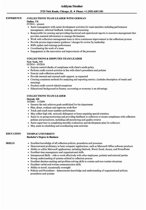 The sample job description below shows a list of key duties, tasks, and responsibilities that usually make up the work activities of the majority of leaders managing teams in the it departments of most companies Team Lead Job Description Resume Fresh Collections Team ...