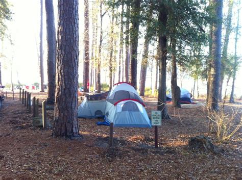 Highway 69, davy crockett national forest is home to deer. Pin on 2016 Men Camp