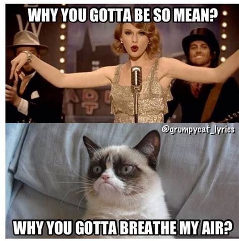 Collect The Beautiful Grumpy Cat Memes Clean Funny