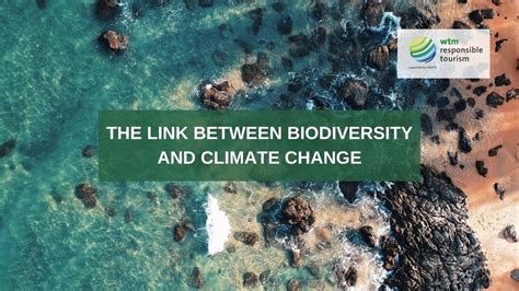 The Link Between Biodiversity And Climate Change Youtube