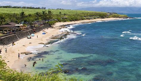 Hookipa Beach Park Maui Hawaii Ultimate Guide March 2024