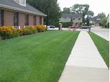 Images of Lawn Care Contractor