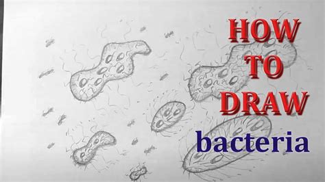 How To Draw Bacteria Easy Drawing Simple Drawing Youtube