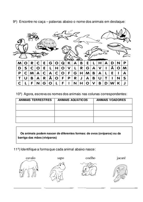 Atividades Sobre Animais Oviparos Viviparos E Ovoviviparos 3 Ano