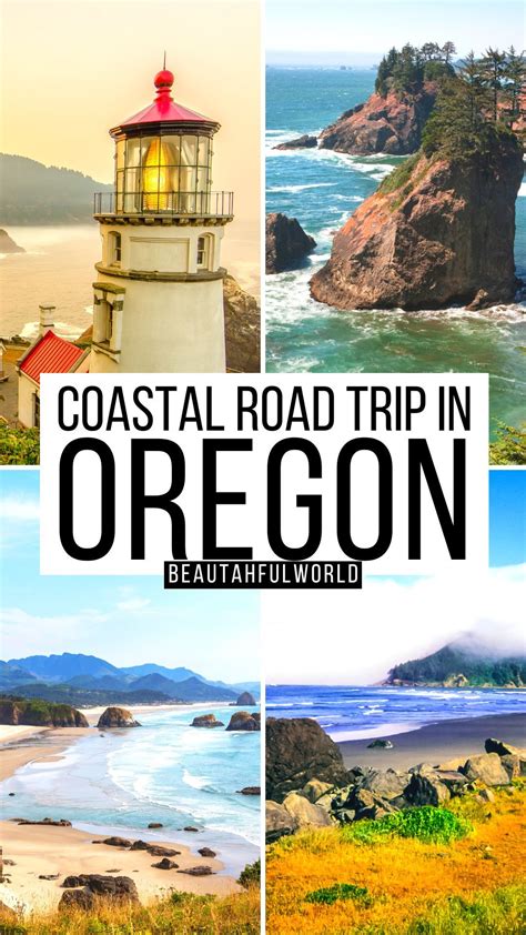 The Ultimate Oregon Coast Road Trip Secret Expert Tips Road Trip