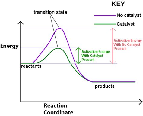 Definition Of Catalyst Chemistry Dictionary