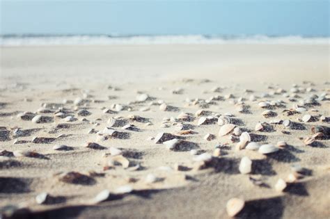 Wallpaper Id 1339286 Sea Shells Summer Outdoors Travel Locations