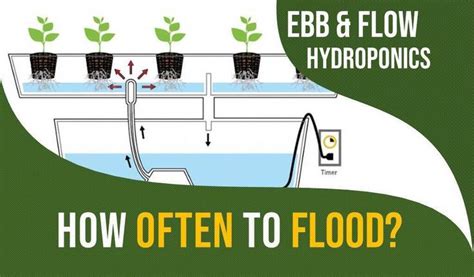 Most of them will fill the tray with a growing medium of their choice and also add net hydroponics offers amazing flexibility, so even if you're experiencing some troubles, you should have no problem correcting them and getting your. Flood and drain (or ebb and flow) hydroponics systems are easy to build buthow | Ebb and flow ...