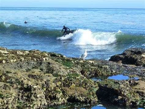 Surfing Santa Cruz Surfing Santa Santa Cruz Surfing