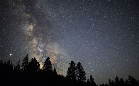 Download Wallpaper 1280x800 Trees Starry Sky Stars Milky Way Night